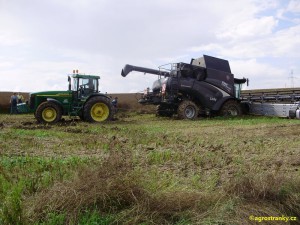 img00003.jpg